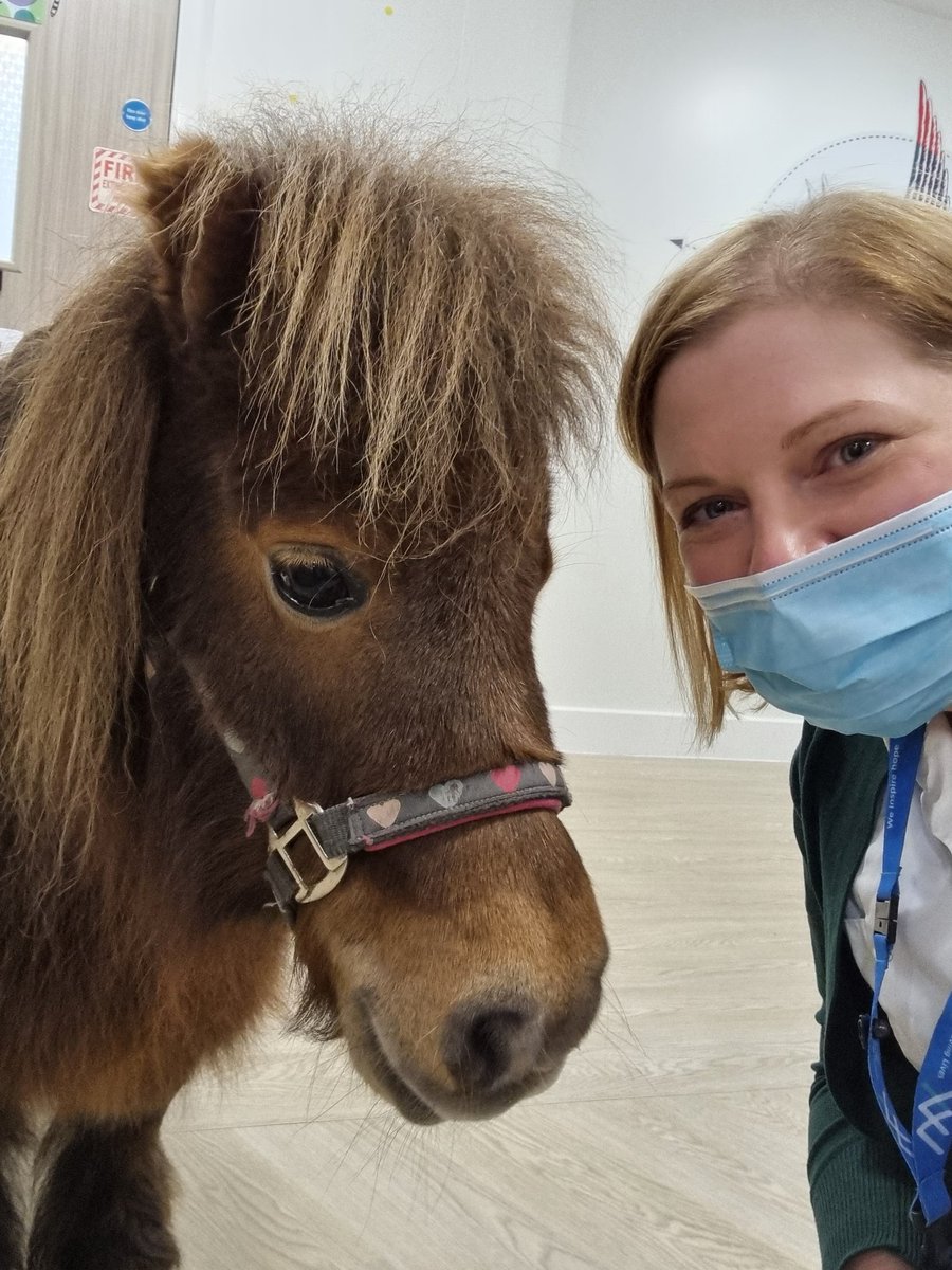 What other job allows you to bring amazing animals to meet some amazing young people? Occupational therapy is the best job in the world. Thank you @Home_Safari @GMMH_NHS #GMMHOT #bestjobintheworld #otcareer #careerideas @KylieMcNHS @NurseKTasker @Gemmamclarke83 @theRCOT