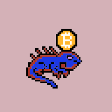 IIguanas_NFT's tweet photo. Stay alert!! Our first AMA is coming out soon!! Be sure to follow and keep notifications on to know when it is!!

#NFTs #Crypto #investing https://t.co/0I2IK7vmIt