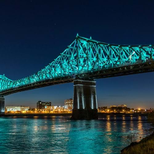 Musitechnic Formation tweet media