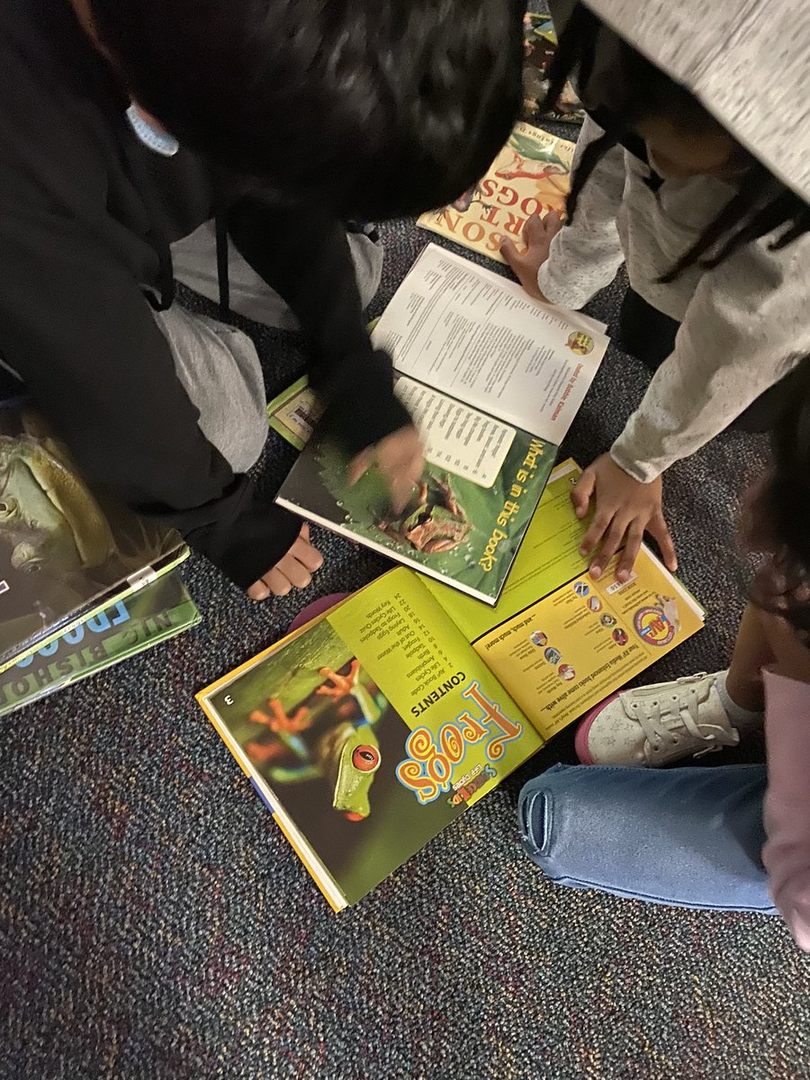 RachelSartor's tweet photo. Our 3rd graders were so excited to look across texts and find similar subtopics as we launched research clubs this morning! @CatCarpenterNYC #robertsonu https://t.co/cISPGurNrW