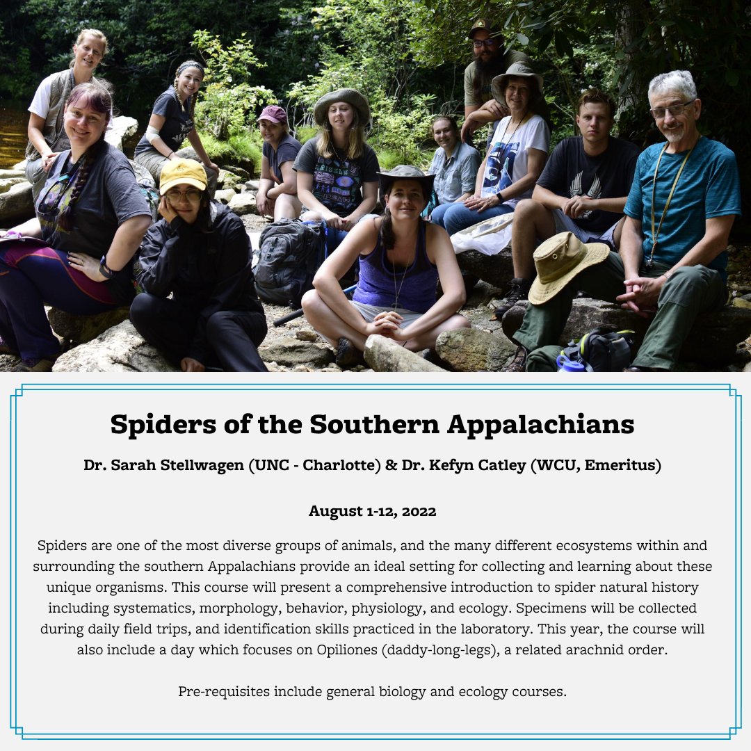 Join @SarahStellwagen, @WCU's Dr. Kefyn Catley, and special guest @DrCedes in #Spiders of the #SouthernAppalachians this summer! Visit our website for more info and to register. Scholarships are available- visit burnslab.umbc.edu/spider-course/ for more info. Photo courtesy of Sarah S.