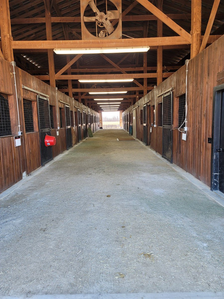 So happy with our crew and management at Todd Manor.  Before and after renovation of our broodmare barn.