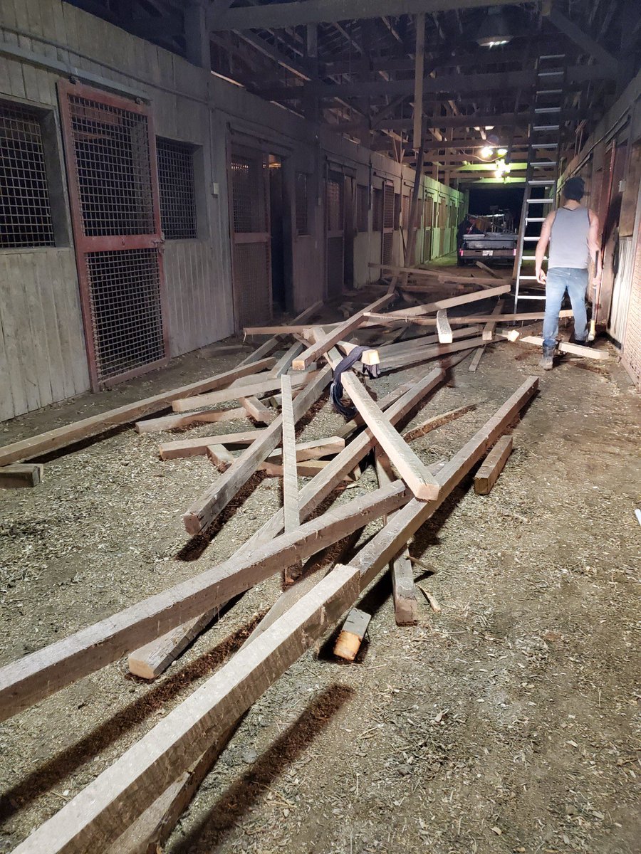 GLEN TODD tweet media