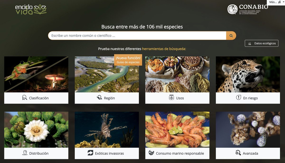 CONABIO's tweet photo. Hemos actualizado #EncicloVida ahora es mucho más fácil realizar búsquedas de especies por región, usos, en riesgo, distribución, especies invasoras, etc.  
🌱🕷️¿Qué esperas para explorar #EncicloVida?🐍🐳
https://t.co/hFqp3WinHb https://t.co/cx186XzeG3