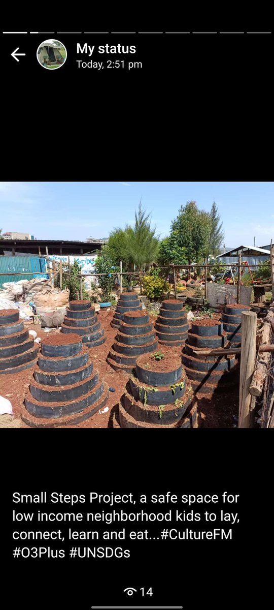 Gakiria's tweet photo. @NYC_YouthVoice Welcome to Ngong Youth Empowerment Centre to meet youth groups working on an Agripreneur project in Mathare.Growing mushrooms,herbs spices and veggies. https://t.co/JEEml4lewU