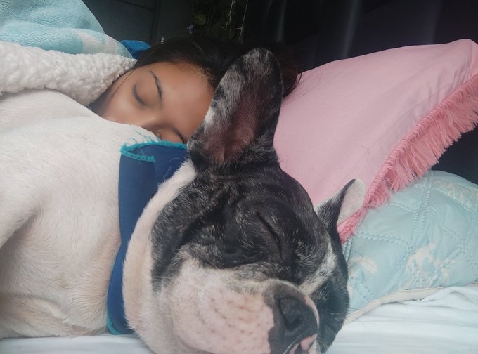 Hhaaha una m&aacute;s tiernita #onlyfanschicas  #latinasardientes #latinas no todo puede ser sexy y de 💥tambi&eacute;n<a href="/tag/onlyfanschicas"class="tags">#onlyfanschicas</a><a href="/tag/latinasardientes"class="tags">#latinasardientes</a><a href="/tag/latinas"class="tags"><span>#latinas</span></a>