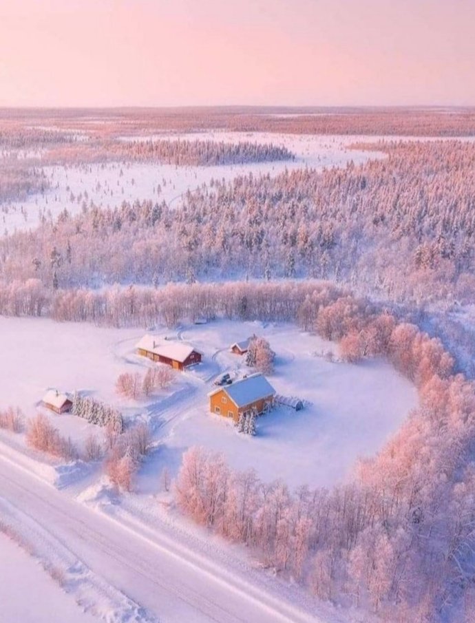 Good morning everyone, I wish you a pleasant friday, enjoy a wonderful day my dear friends ☕🕊️🌺🌸💗🧡🤗