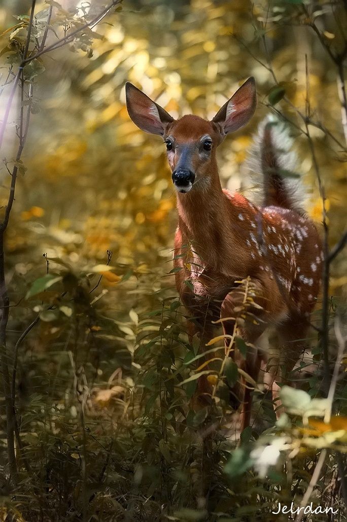 Have a nice Friday!
🌞🍀🌼