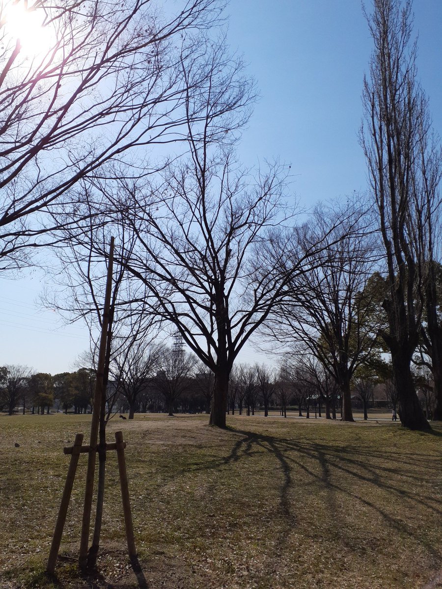 BbObyw's tweet photo. 穏やかな日。
この国に生まれて本当に運が良かった。
銃の使い方も爆弾の使い方も知らずに今まで生きてこられた。
#平和
#反戦 https://t.co/oWI5ND6SCG