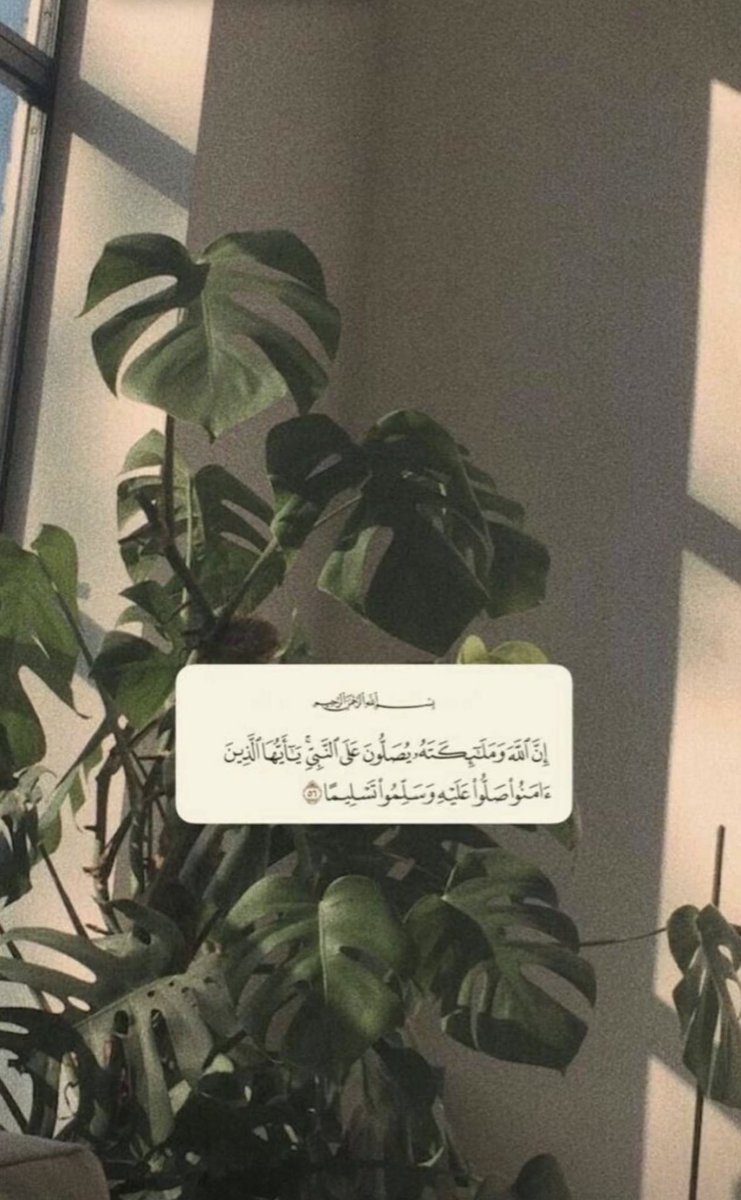 ttomii_hfc's tweet photo. اللهم صل وسلم وبارك على حبيبنا محمد وعلى آله وصحبه أجمعين عدد ما ذكره الذاكرون وعدد ما غفل عن ذكره الغافلون💚 https://t.co/8my7yMWZyz
