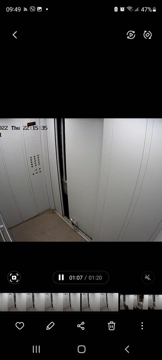 Маргарита tweet media