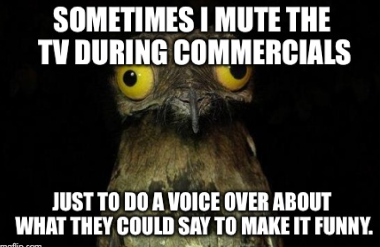 The Voicecaster tweet media