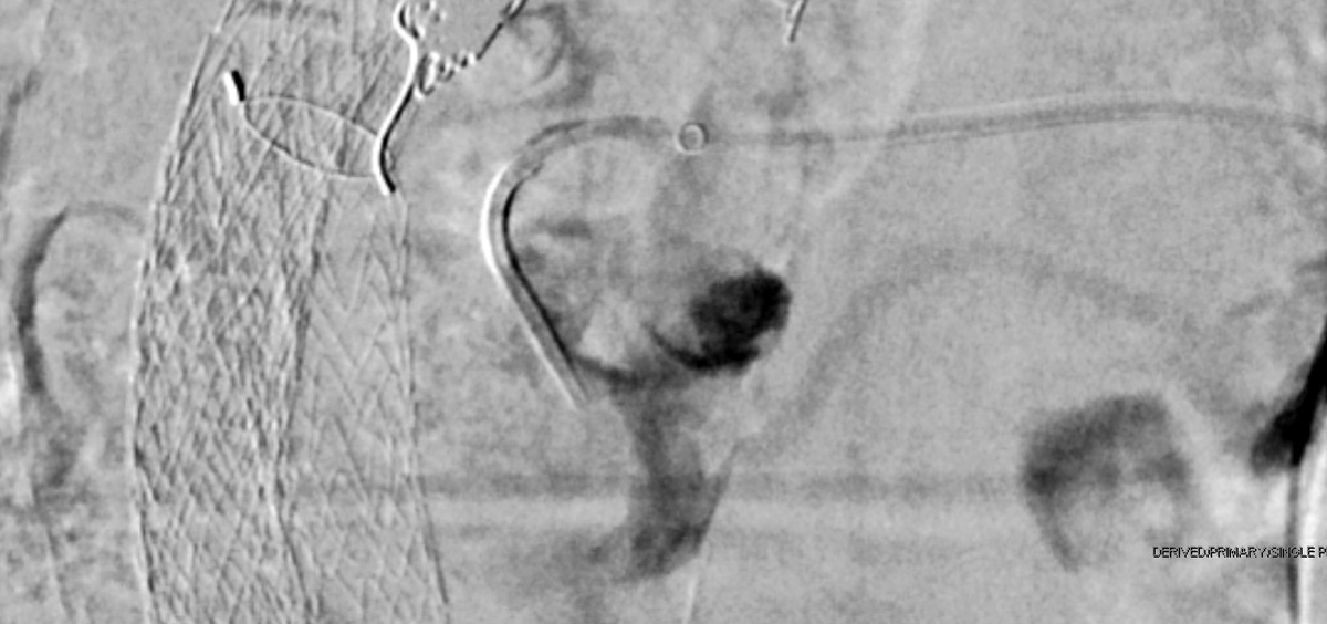 Ramkrishna Patel tweet media