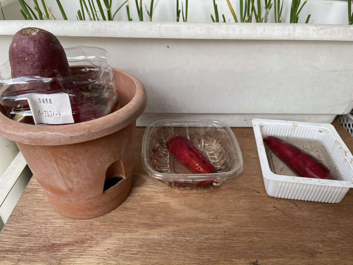 青木昆陽 Twitter 搜尋 Twitter