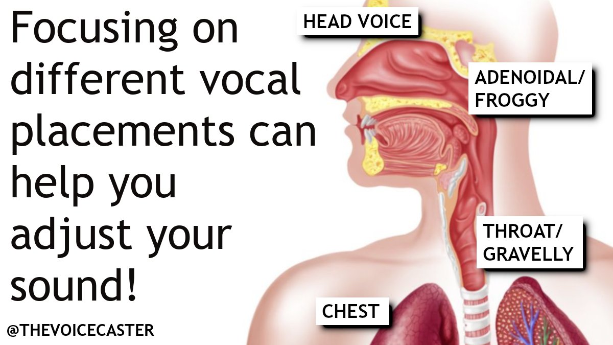 The Voicecaster tweet media