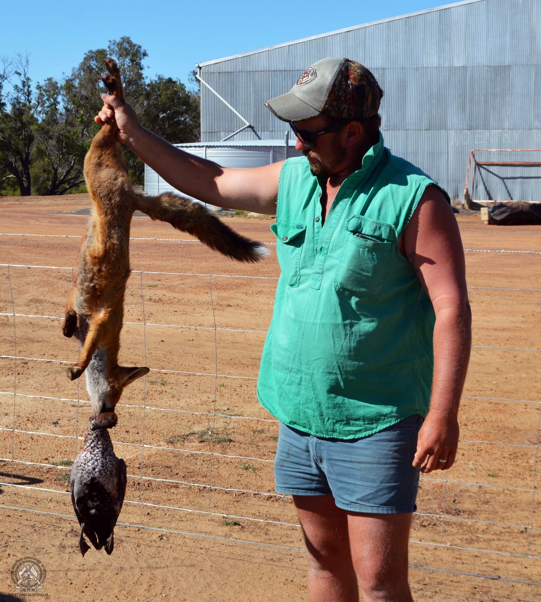 RedCardRF's tweet image. With a dozen or so Red Card events already passed this season, we’d love to see some of your pics. Send them through to redcard@wheatbeltnrm.org.au.