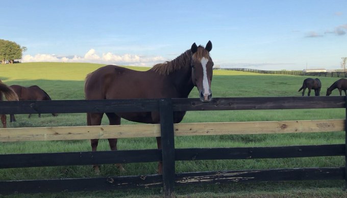 NEW WOOD https://t.co/8YsYqu5VRD