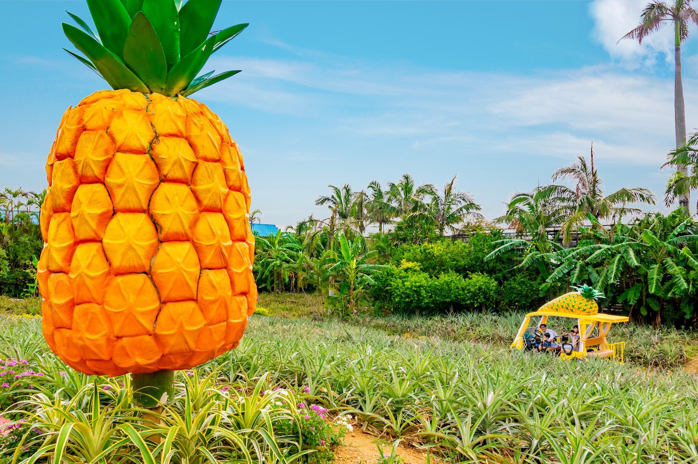 Okinawa Pineapple 沖縄遊び場 パッパパイナップルパ ク この曲知っている方 どのくらいいるのでしょうか Have A Nice Pineapple Day 沖縄 パイナップル パイナップル号 ナゴ パイナップルパーク パインづくし パイナップルパーク 沖縄 Okinawa Pineapple 沖縄遊び場 パッパパイナップルパ ク この曲知っている方 どのくらいいるのでしょうか Have A Nice Pineapple Day 沖縄 パイナップル パイナップル号 ナゴ パイナップルパーク パインづくし パイナップルパーク 沖縄