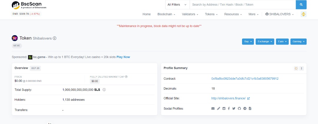 Successfully logo &amp; social links profile BscScan updated and verified, next target on coin marketing, stay calmly hold with Us