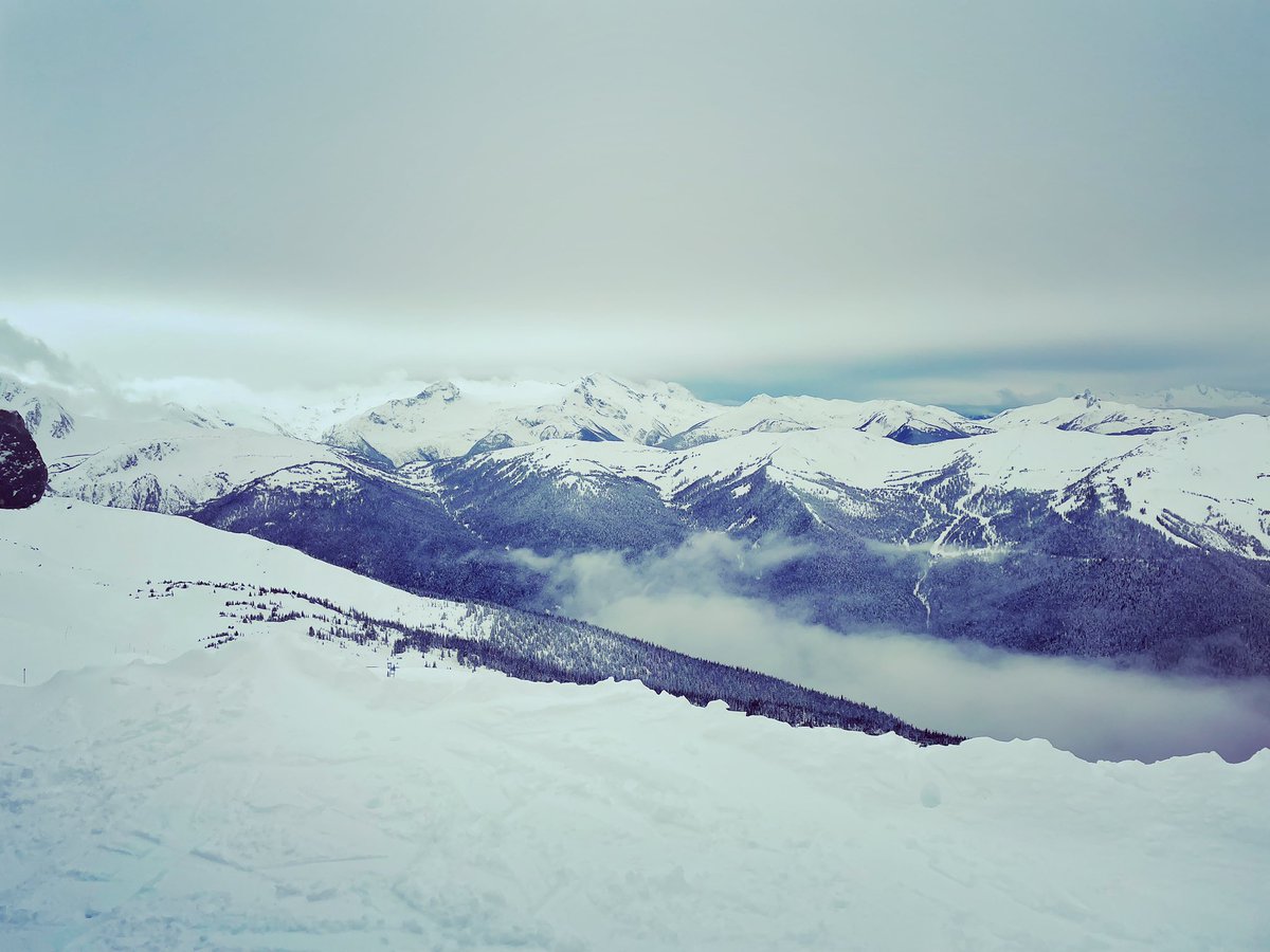 Farah Jazuli tweet media