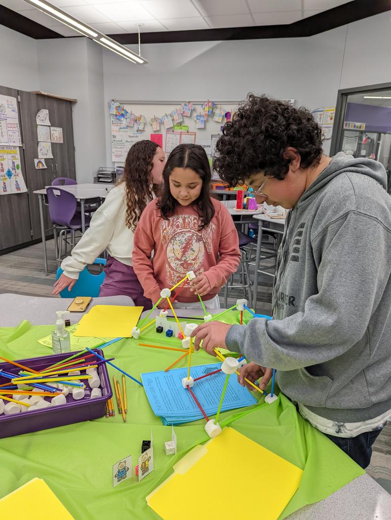 Anita Layton-Pauly tweet media