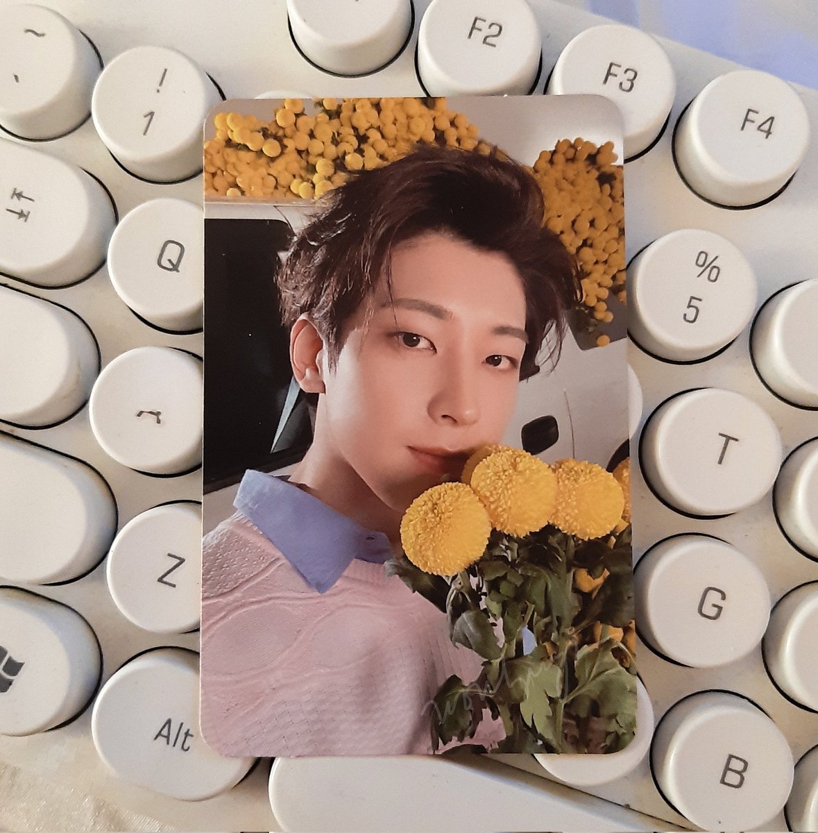 wonbuys's tweet photo. π γ
‘ #arohacaratproofs #wonbuys
wonsol finally umuwi na! thank u so much, @arohacaratxcart for packing them safe. until next time! https://t.co/zAxkqc277d
