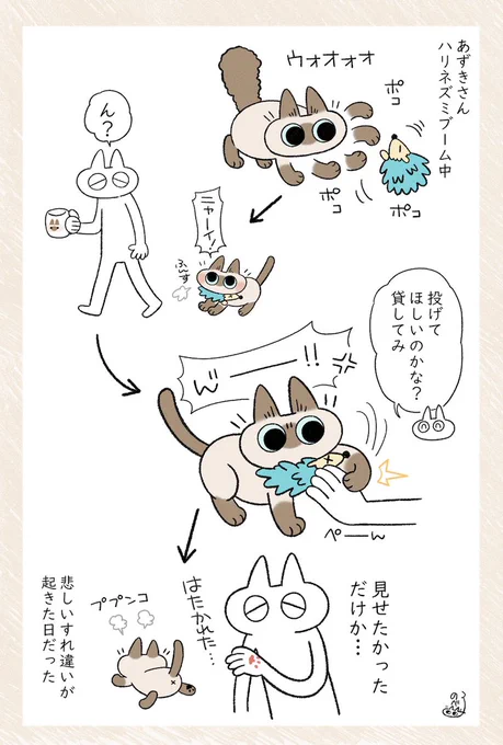 おもちゃを自慢したいだけなのか、投げてほしいのかどうやって見分ければいいんだ… #シャム猫あずきさんは世界の中心 