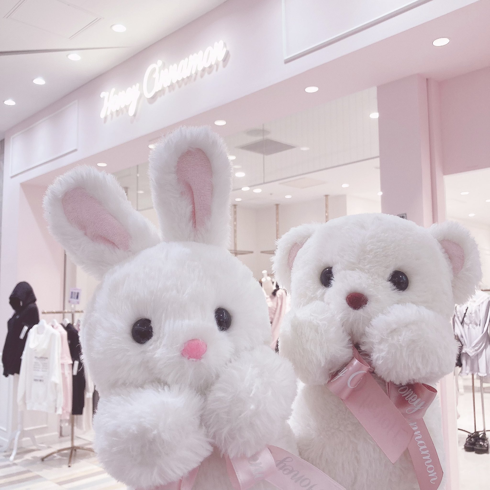 🐰ハニーとシナモン🧸 (@honeyc__diary) / X