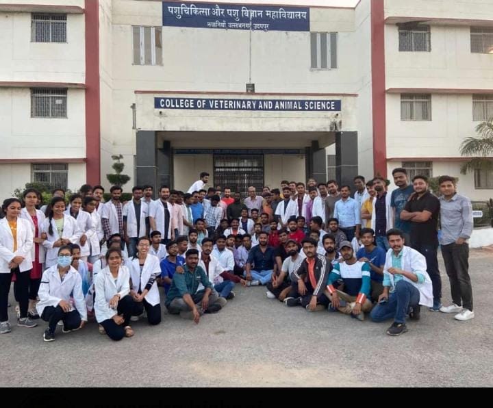 manishola15's tweet photo. स्वाभिमान के संघर्ष को सरकार ने समझा और हमारी एक मांग को माना इसके लिए पशुपालन विभाग और मंत्रालय को धन्यवाद। @RajCMO @KatariaLalchand @drarushimalik @presidentVCI @AHDRajasthan https://t.co/OoroGEV1BB