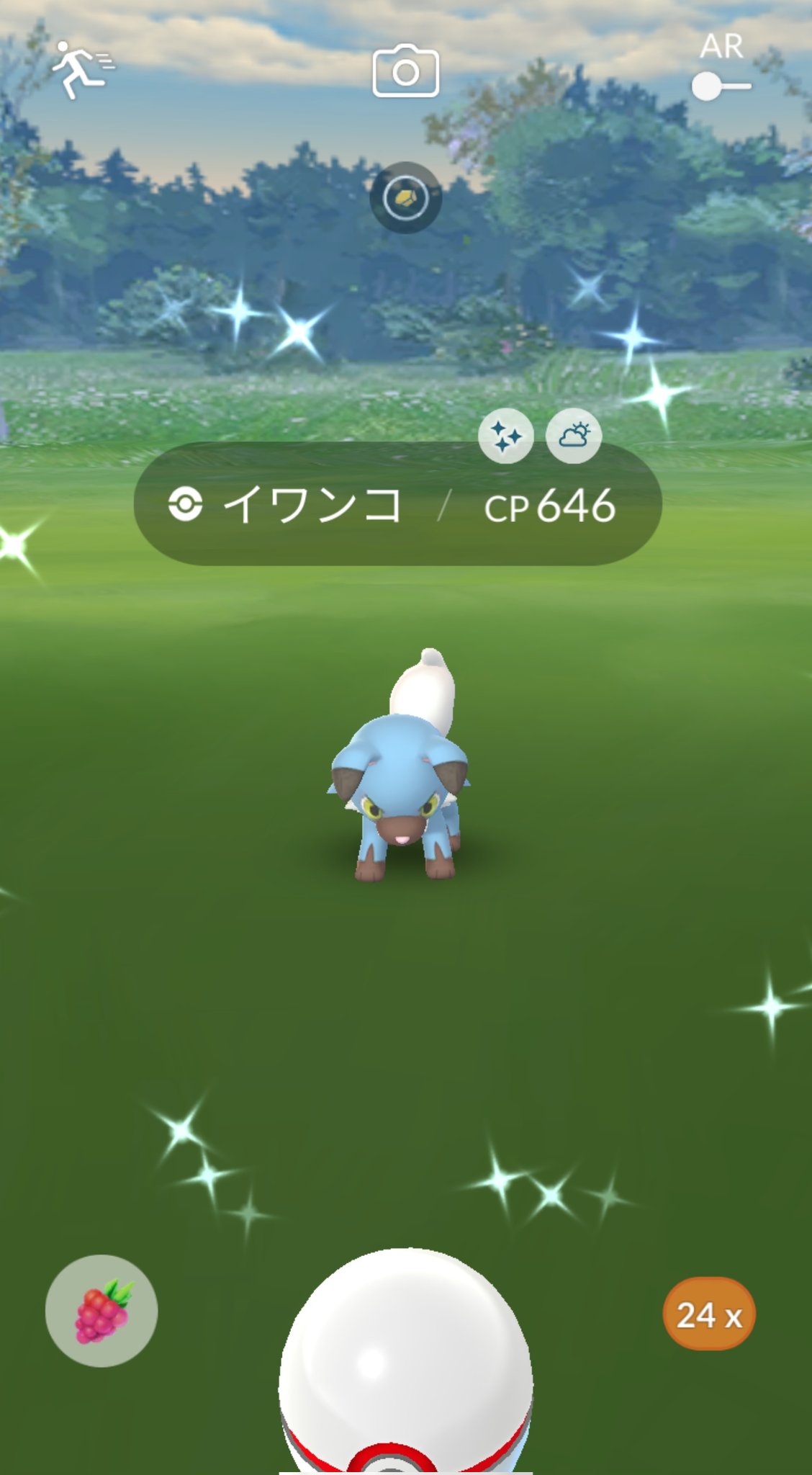 色イワンコ Twitter Search Twitter