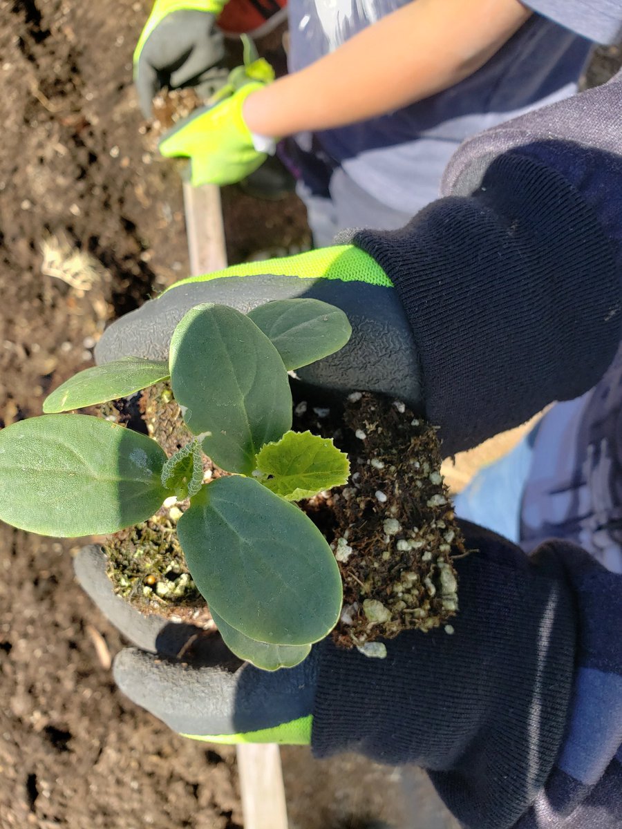 Rio Farm to School tweet media