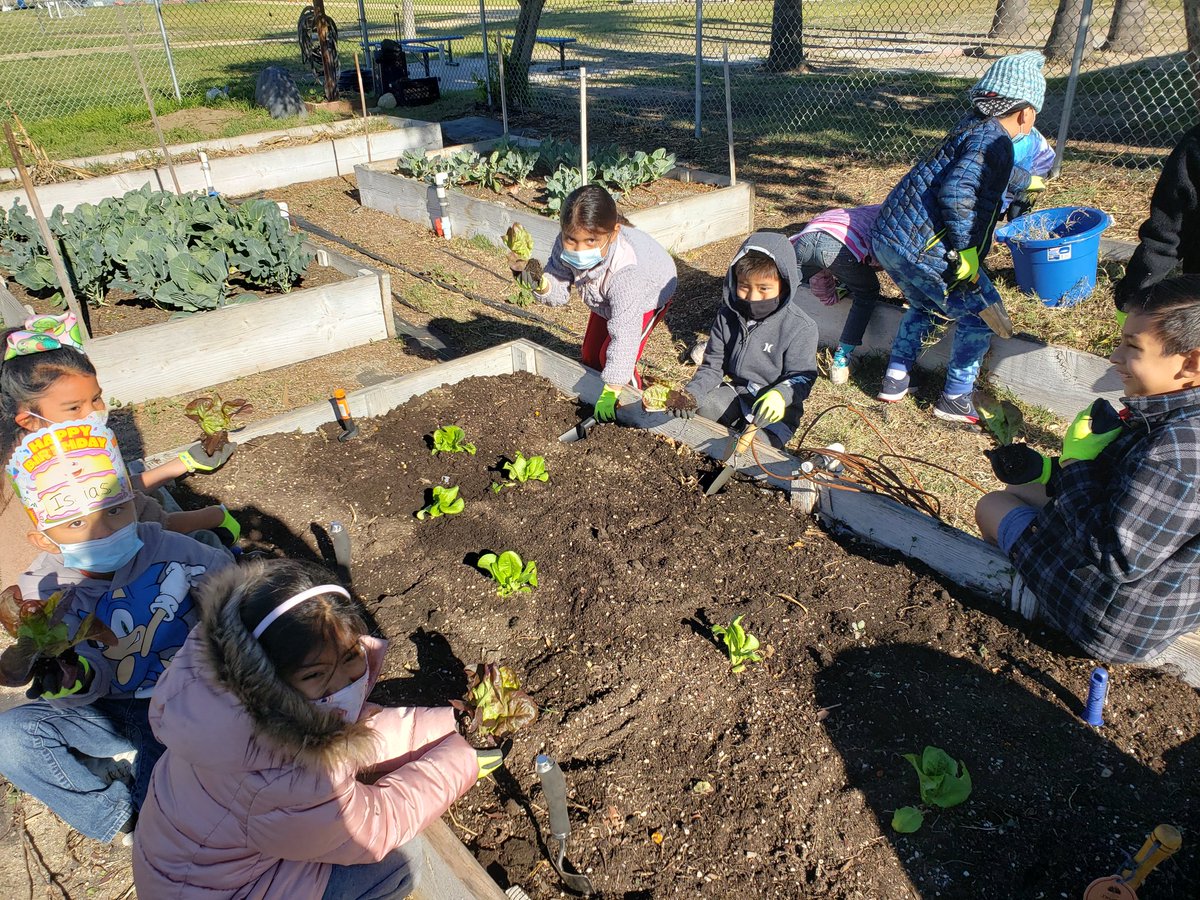 Rio Farm to School tweet media