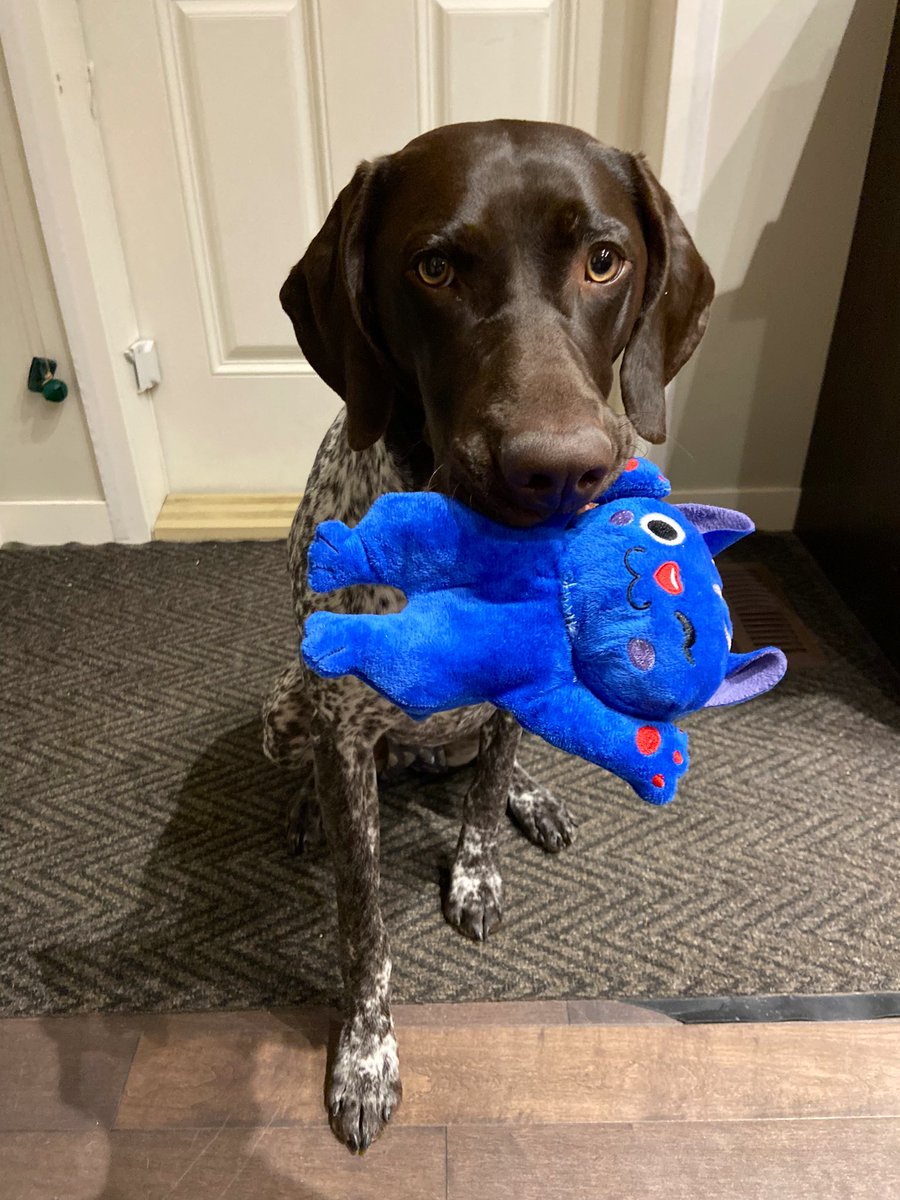 Mila ♡ tweet media