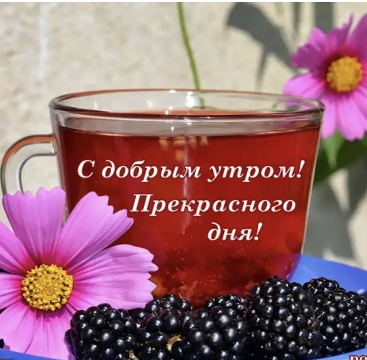 Друзья!
