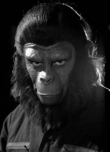 お猿のtwitterイラスト検索結果