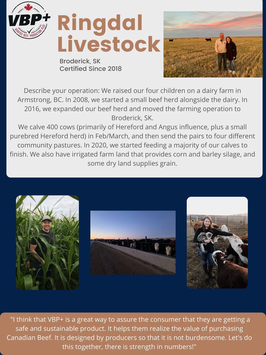 SASK VBP tweet media