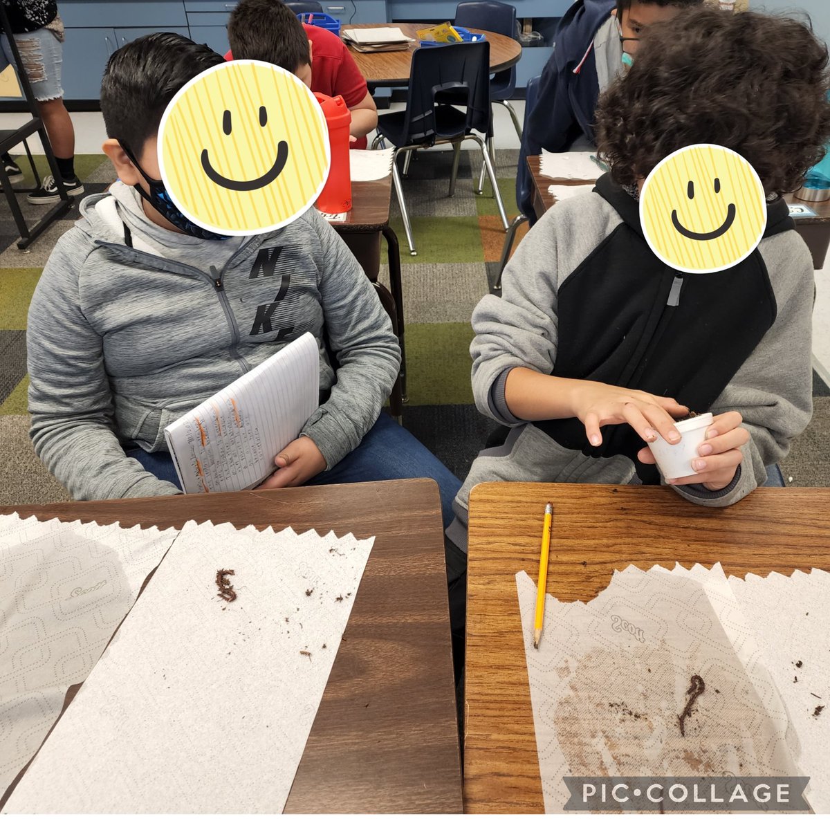 sra_harrell's tweet photo. My first week of long term subbing for 5th grade has included worm experiments and making our own coordinate planes! https://t.co/iv7fBDxa64