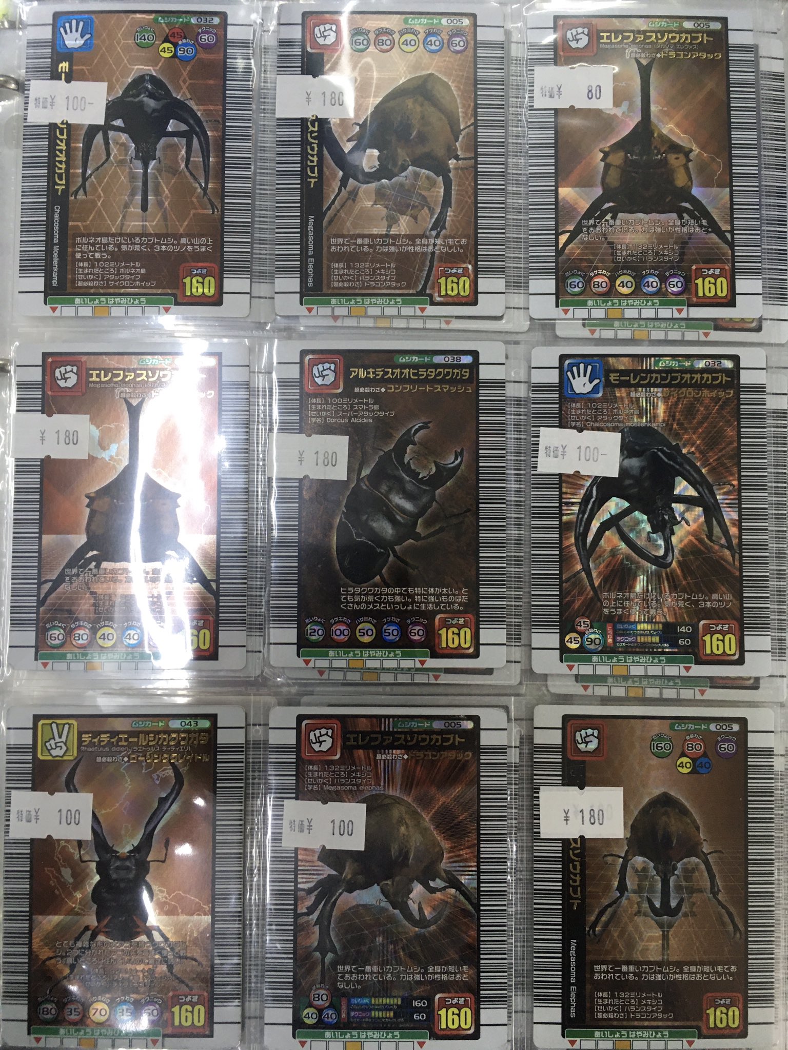 秋葉原チェルモ cherumoAKIBA on X: 