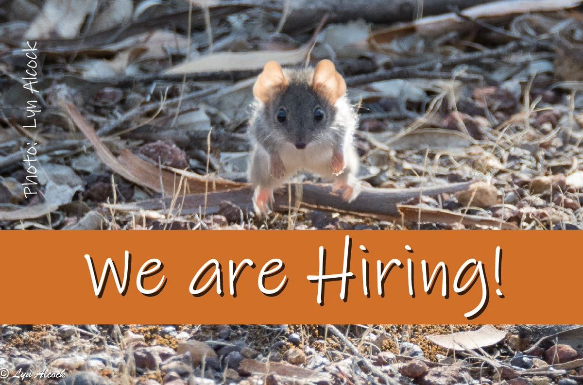 We are calling for applications from a highly skilled and motivated practitioner to fill the role of Wetlands Restoration Officer for the Peel-Harvey NRM Region peel-harvey.org.au/get-involved/s…