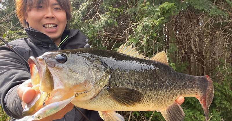 megabass_jp's tweet photo. 【Megabass Blog】オッチー的!!時合いを掴むハードベイト攻略!
Megabassスタッフ 越智 一��
https://t.co/dKo4LQ1SC7
#megabass #mymegabass #Oneten #ShadingX https://t.co/YjfS6qofxQ