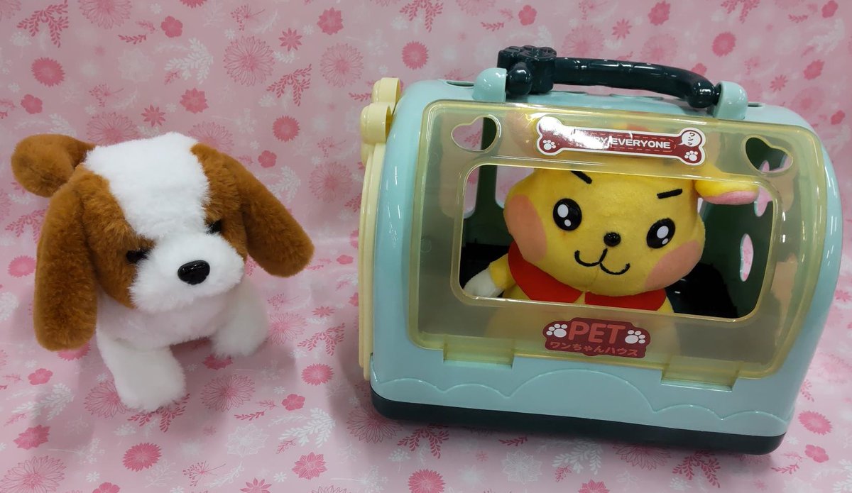 アピタン、ついにマイホームをゲットしました‼️ …本当はワンちゃんの