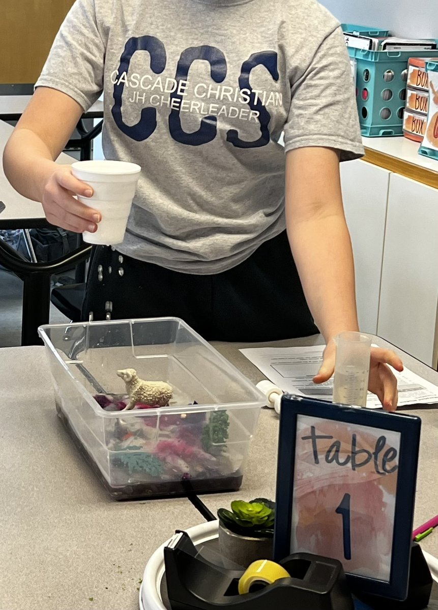 buzzingbailey's tweet image. Last week we completed a CER lab to see how human activity impacts pollution in a watershed.