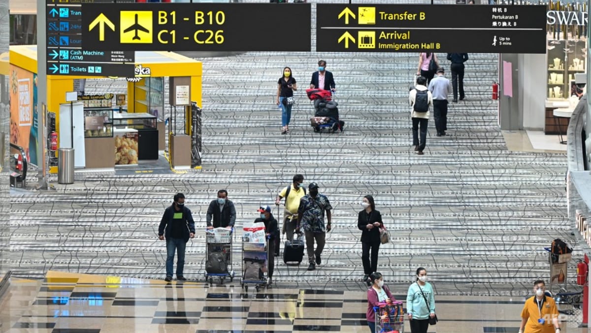 Singapore extends vaccinated travel lanes to Penang, Bali, all India cities; new VTLs with Vietnam and Greece channelnewsasia.com/singapore/vacc…