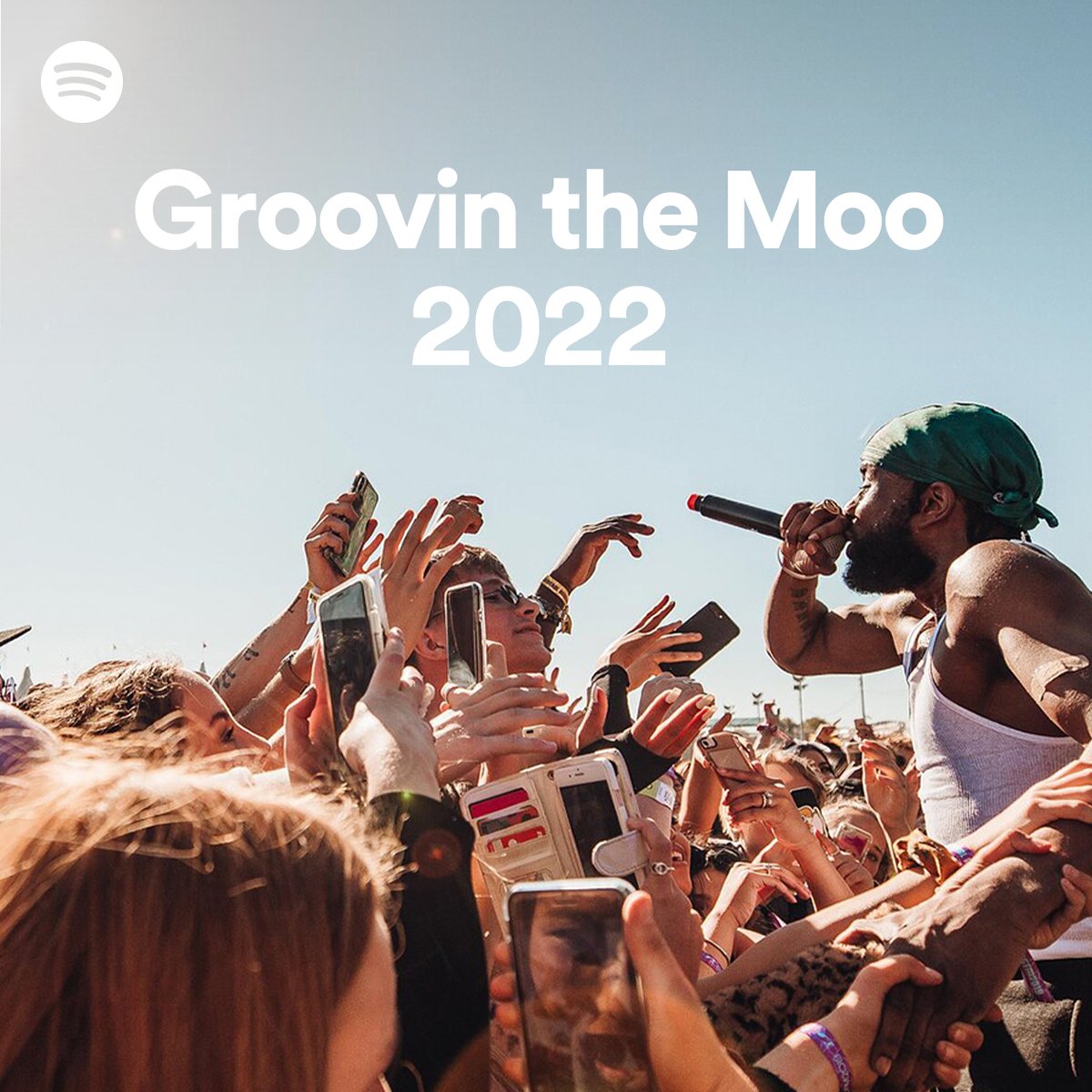 Groovin the Moo tweet media