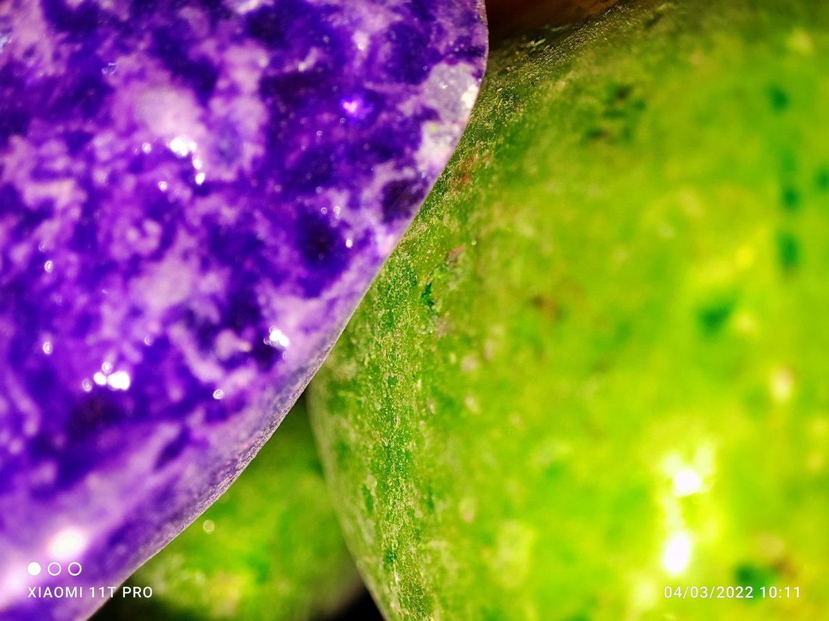 yrajeev19's tweet image. Some Macro Shot Taken By Xiaomi 11T Pro #Hyperphone #Xiaomi11TPro 
@manukumarjain @hawkeye @XiaomiIndia