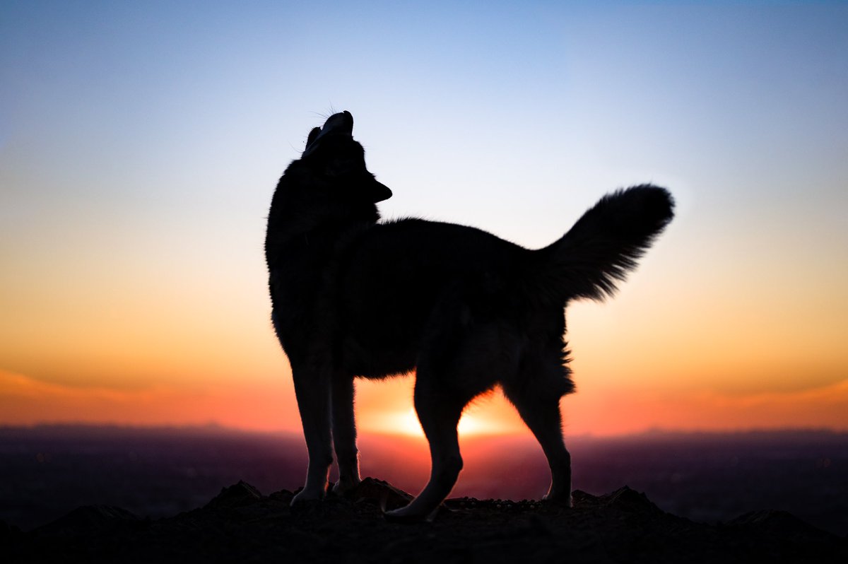 Courtney | The Knitted Arrow tweet media