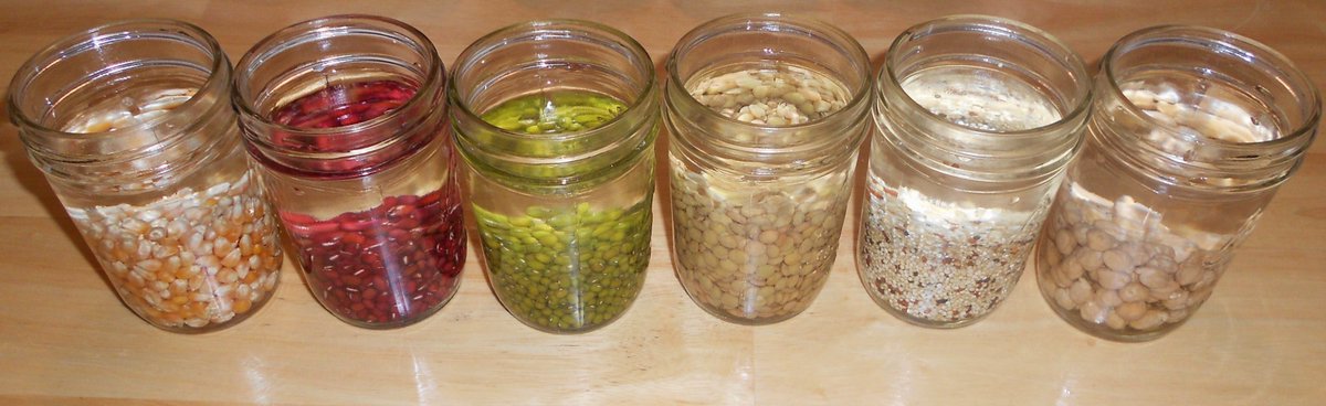YOU CAN SOAK YOUR SEEDS TO SPEED GERMINATION  facebook.com/theseedguy You Can See Our 9 Heirloom Seed Packages on Sale, and Fresh From the New 2021 Harvest  theseedguy.net/15-seed-packag…  #seeds #gardening #preppers