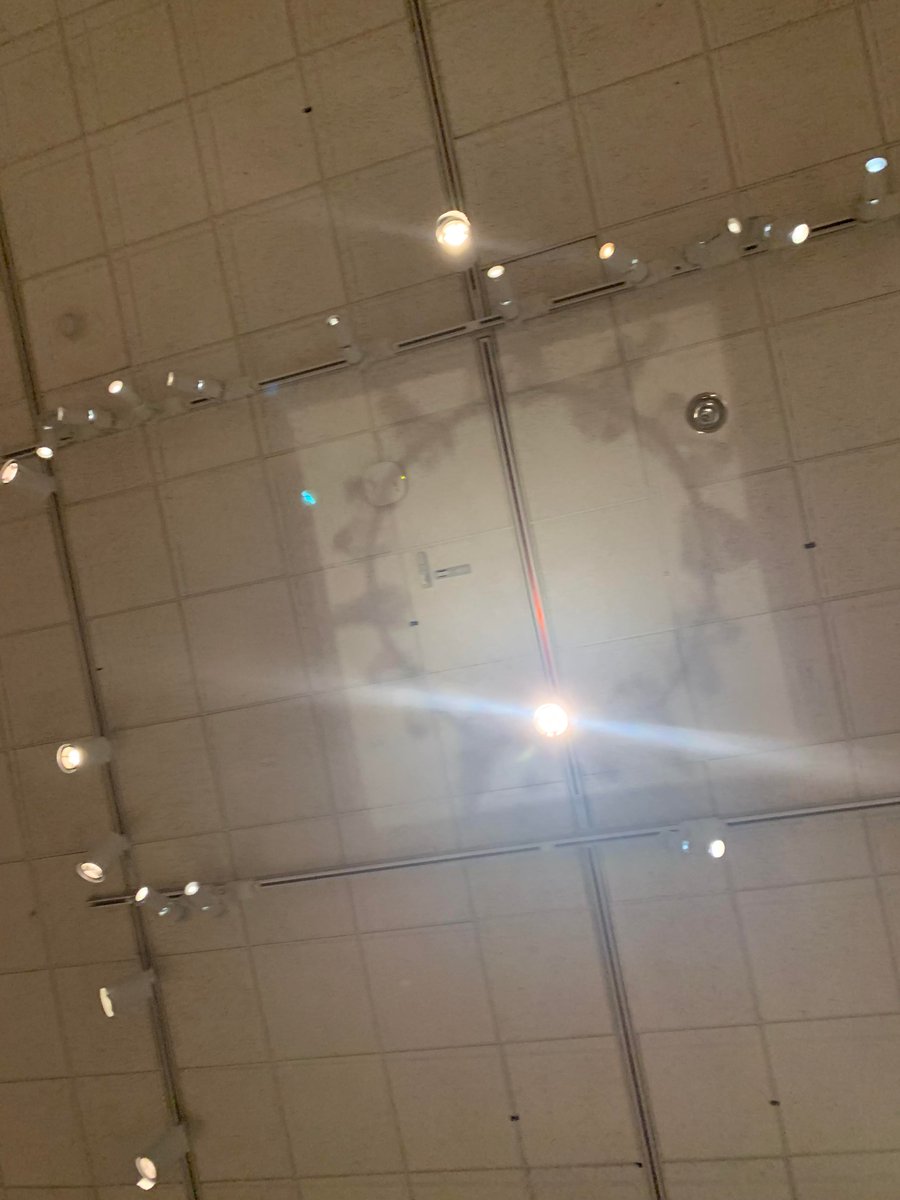 jr_scanlan's tweet photo. This one is crazy from above and below https://t.co/iQHqWP3BHJ