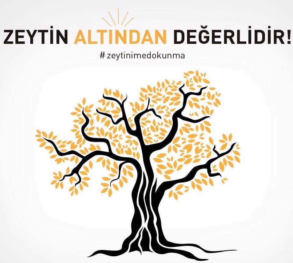 seno3459's tweet photo. Topraklar evidir zeytin ağacının. Barıştır tarihtir,mitolojidir,bolluktur ölümsüzlüktür 
Zeytin sanayiden büyüktür betona değil zeytine tarıma çiftçiye yatırım yapılmalıdır çünkü bizim geleceğimiz onlardır.Yazarken elim titriyor içim sızlıyor ağaç kesmek nedemek
#ZeytinimeDokunma https://t.co/dSmPuCrtRI