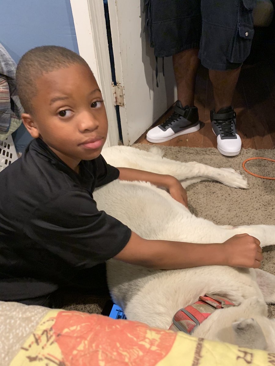 EHEasy's tweet image. #LLSNOW #JapaneseAkita #FullBread #SheWasMyBABY